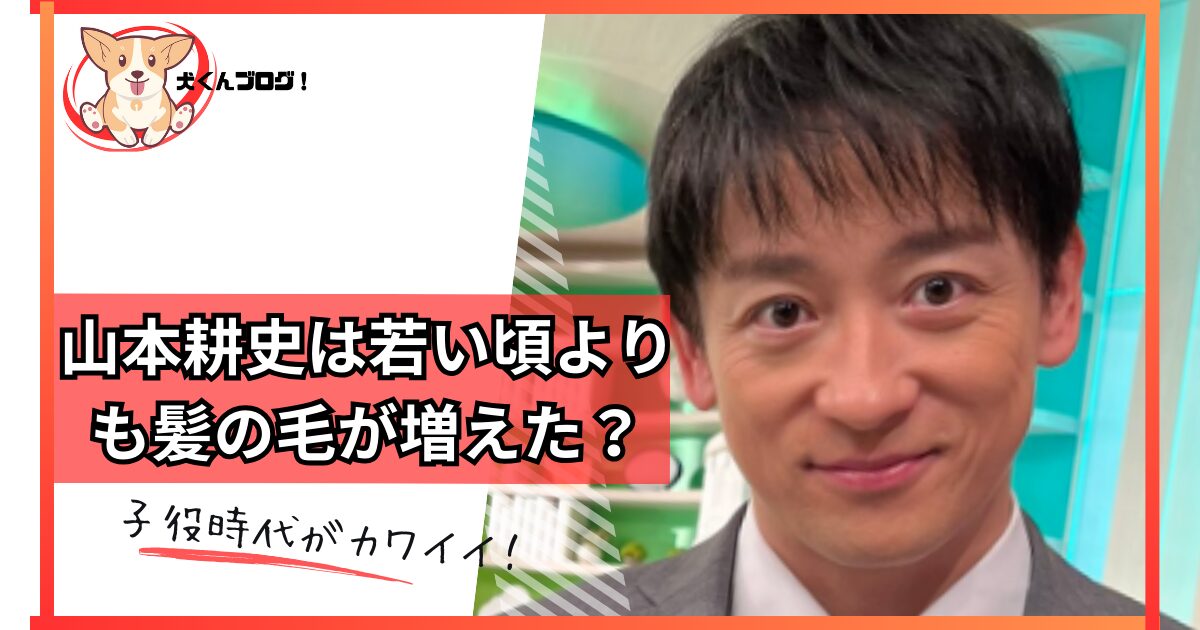 山本耕史の髪型アイキャッチ