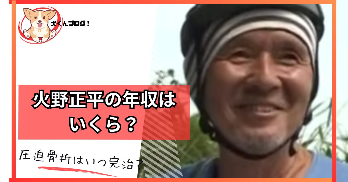 火野正平のアイキャッチ